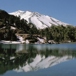 ΠΕΖΟΠΟΡΙΑ ΣΤΗΝ ΠΑΓΩΜΕΝΗ ΛΙΜΝΗ ΔΑΣΙΟΥ 2/2 ΚΥΡΙΑΚΗ